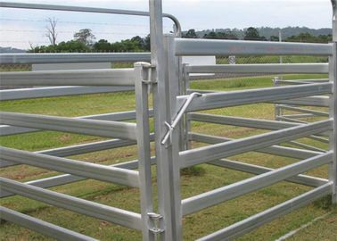 Livestock Equipment Cattle Yard Panel Height 1.8m Low Carbon Steel Corral Fence