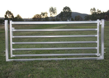 Le pecore che portatili l'iarda riveste 16" di pannelli X 48" hanno galvanizzato il materiale quadrato del tubo di 40mm