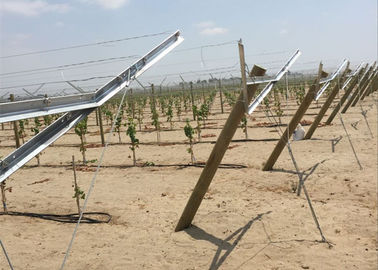 I pali galvanizzati immersi caldi della vite del metallo permette alla portata di luce solare producono l'uva svilupparsi