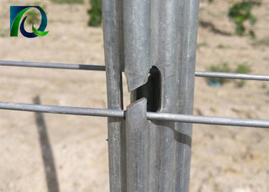 H Shape Holes 1.5mm 2.0mm Vineyard Trellis Posts