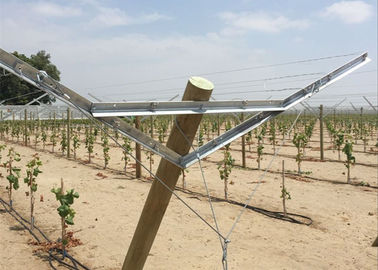 I sistemi del traliccio della vigna della proprietà terriera dell'uva hanno ridotto i costi di messa a punto e dell'installazione