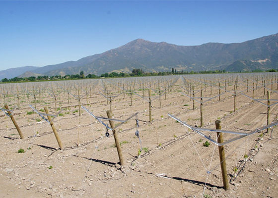 Ricicli la scanalatura del cavo del traliccio dell'uva del metallo fornisce i cavi del traliccio del controllo completo