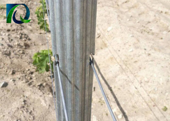 poste del traliccio della vigna del metallo di 1.5mm 2.0mm 50x40mm con i fori di H