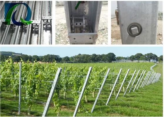 posta del traliccio dell'uva di 1.5mm 54X30MM con 2 fori laterali di H