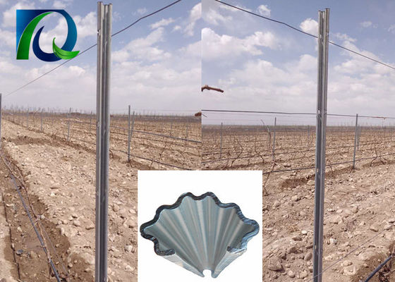 le poste resistenti del traliccio della vigna del metallo di 4.0m con la H hanno modellato i fori